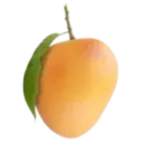 Alphonsa Mango Online