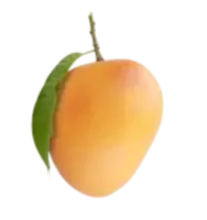Alphonsa Mango Online